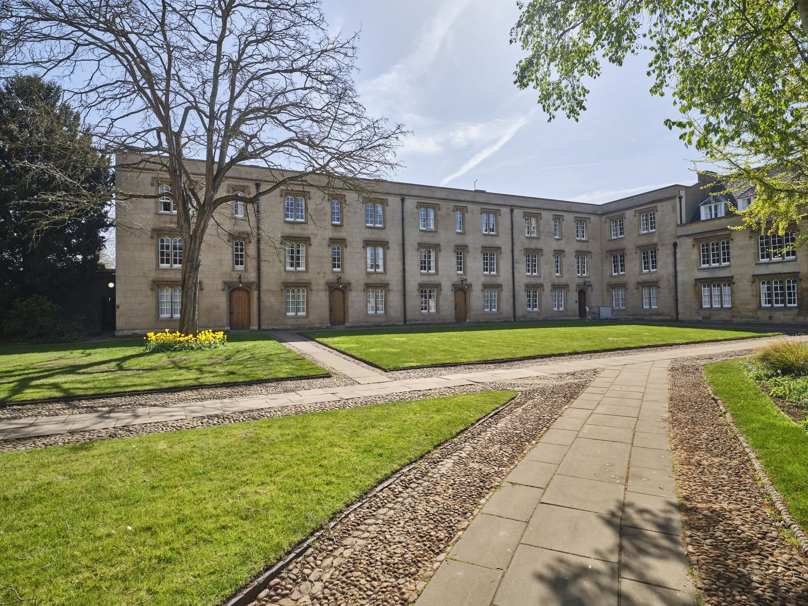 Second Court at Christ's College, Cambridge, in the sunshine, with a tree surrounded by colourful planting.