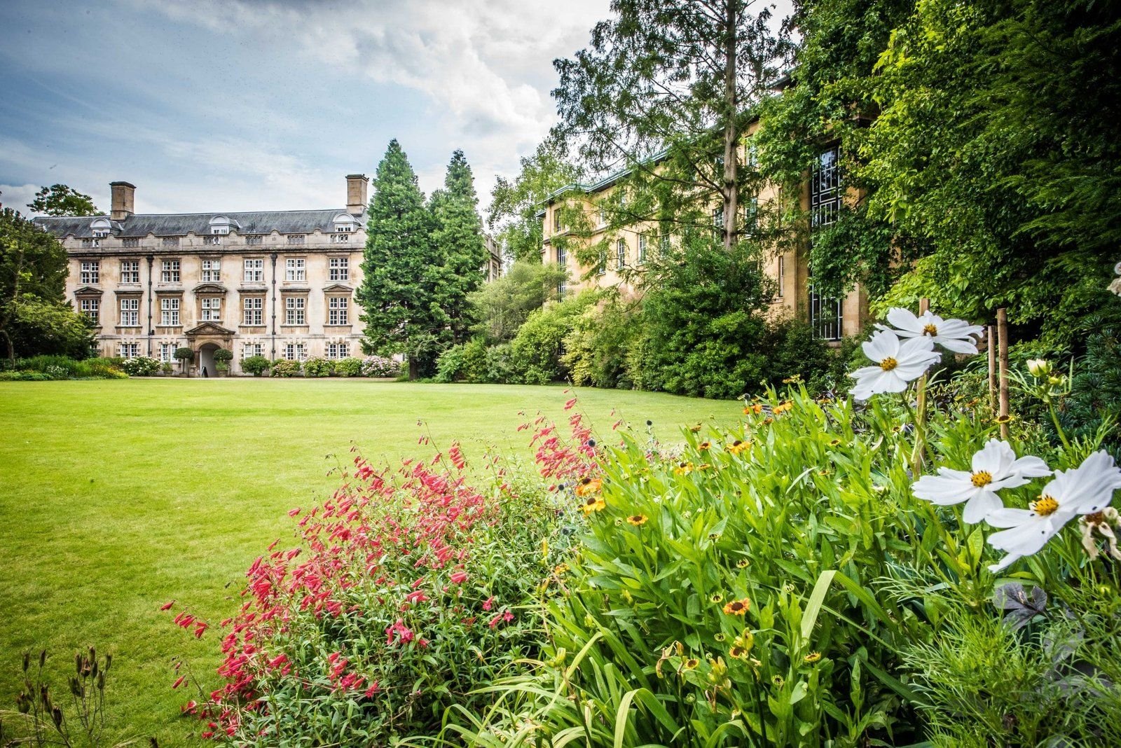 The Fellows’ Garden at Christ’s College, Cambridge, with mature trees, summer flowers and the Fellows’ Building beyond.