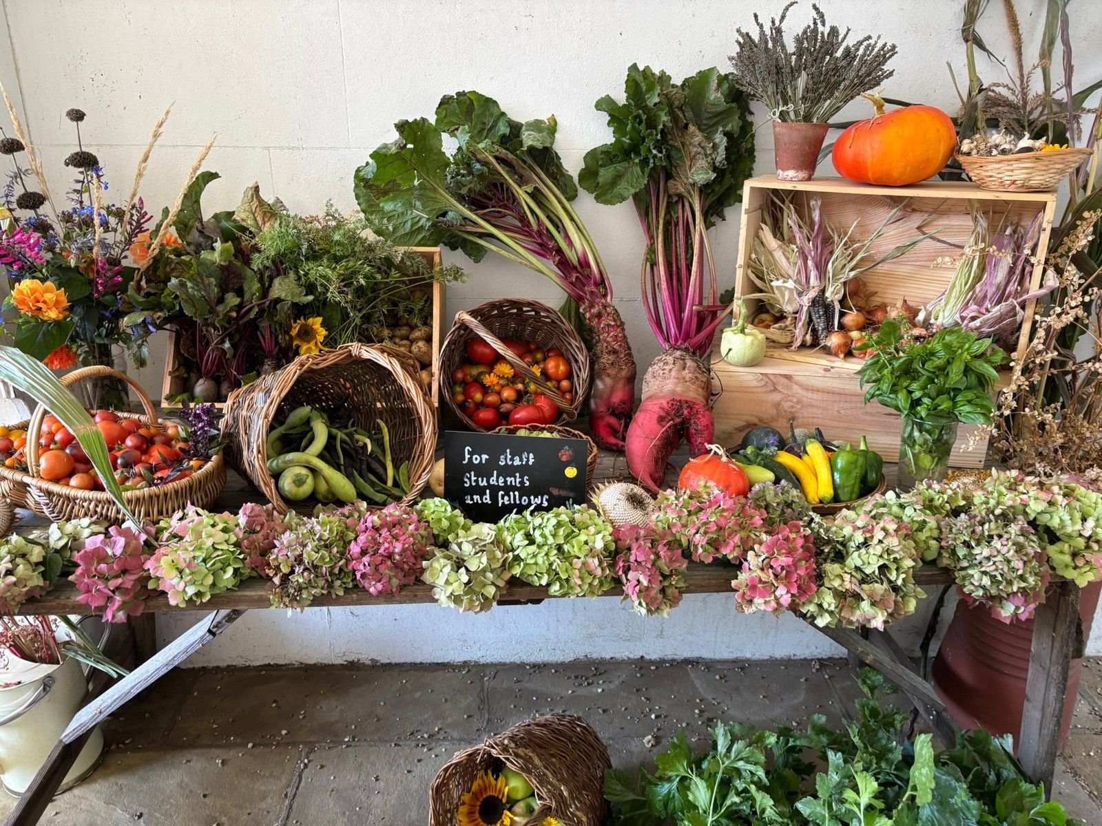 What’s on in Cambridge this October photo - showing a selection of vegetables from the harvest at Christ's College.