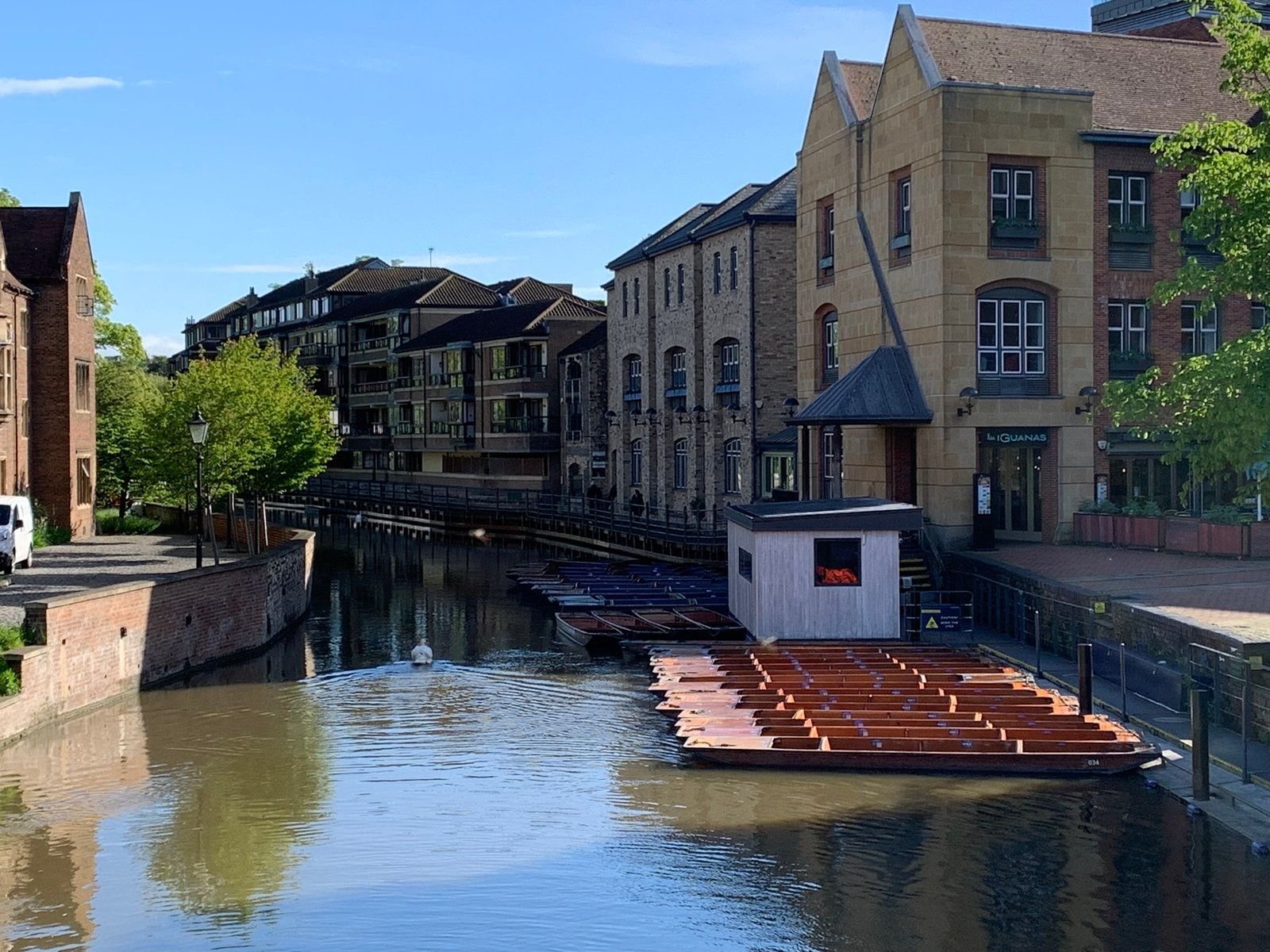 Punting along the River Cam, Cambridge