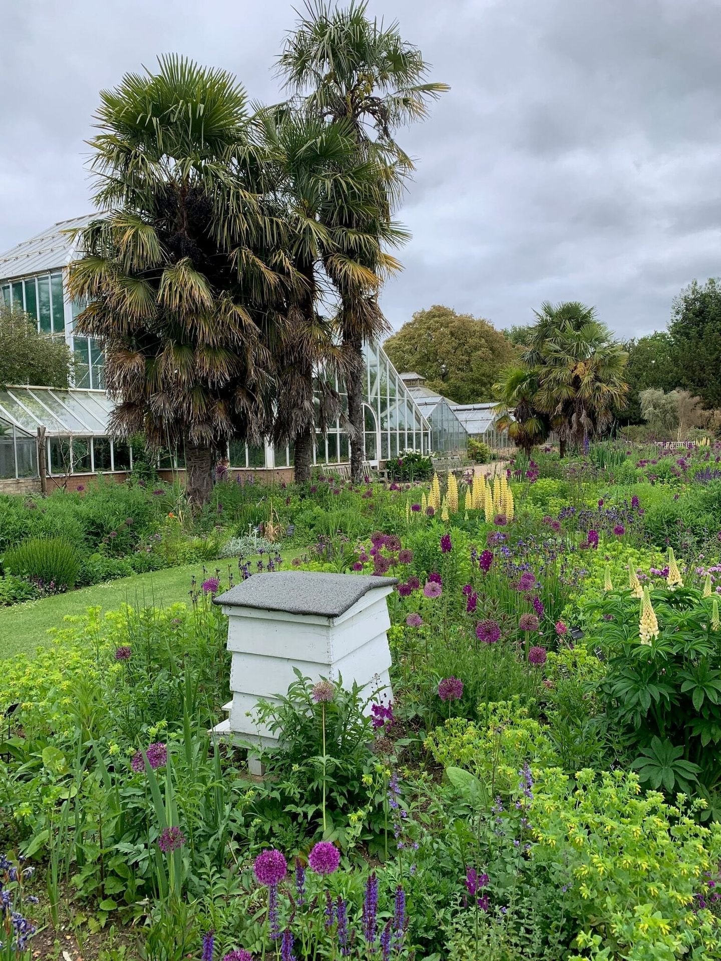 Gardens of Cambridge. A Beehive The Cambridge University Botanic Garden. Beuatiful Gardens in Cambridge