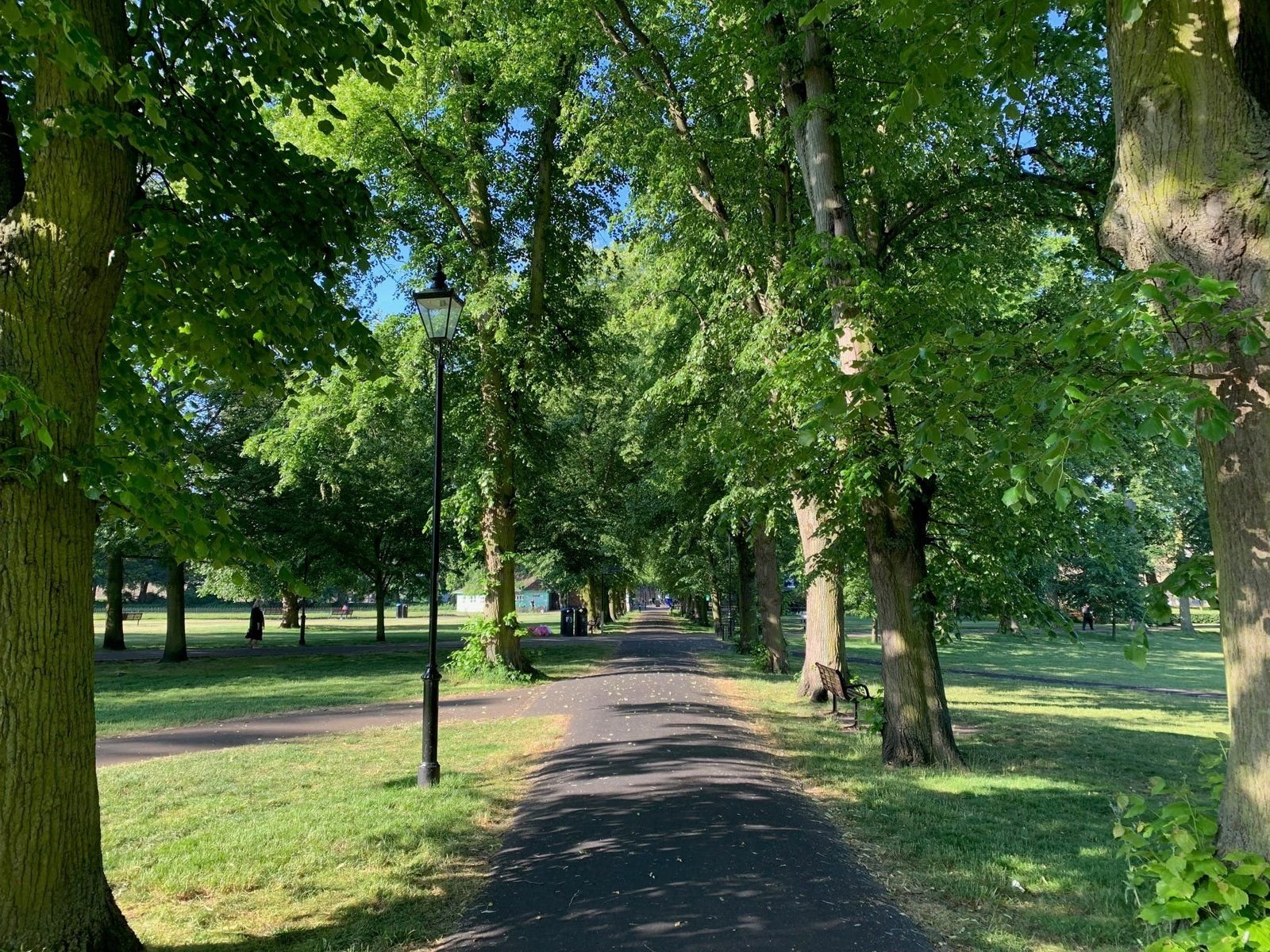 Christ's Piece Cambridge. A view along a path surrounded by lush, green trees.