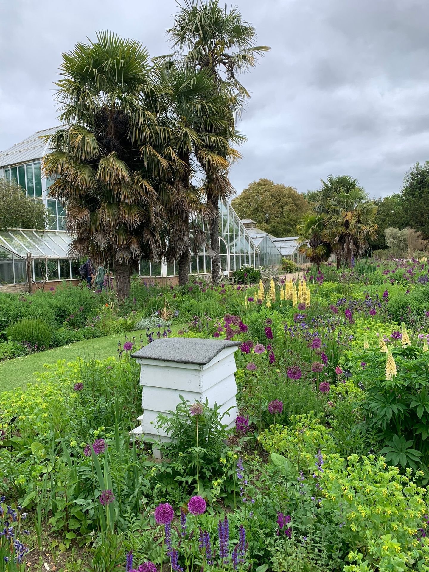 Cambridge University Botanical Garden