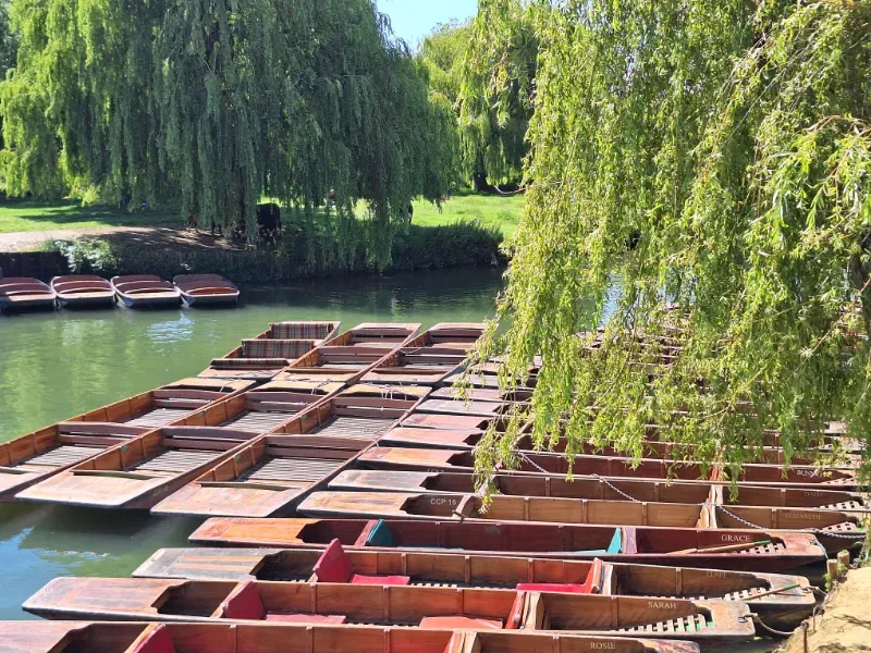 A delightful weekend in Cambridge