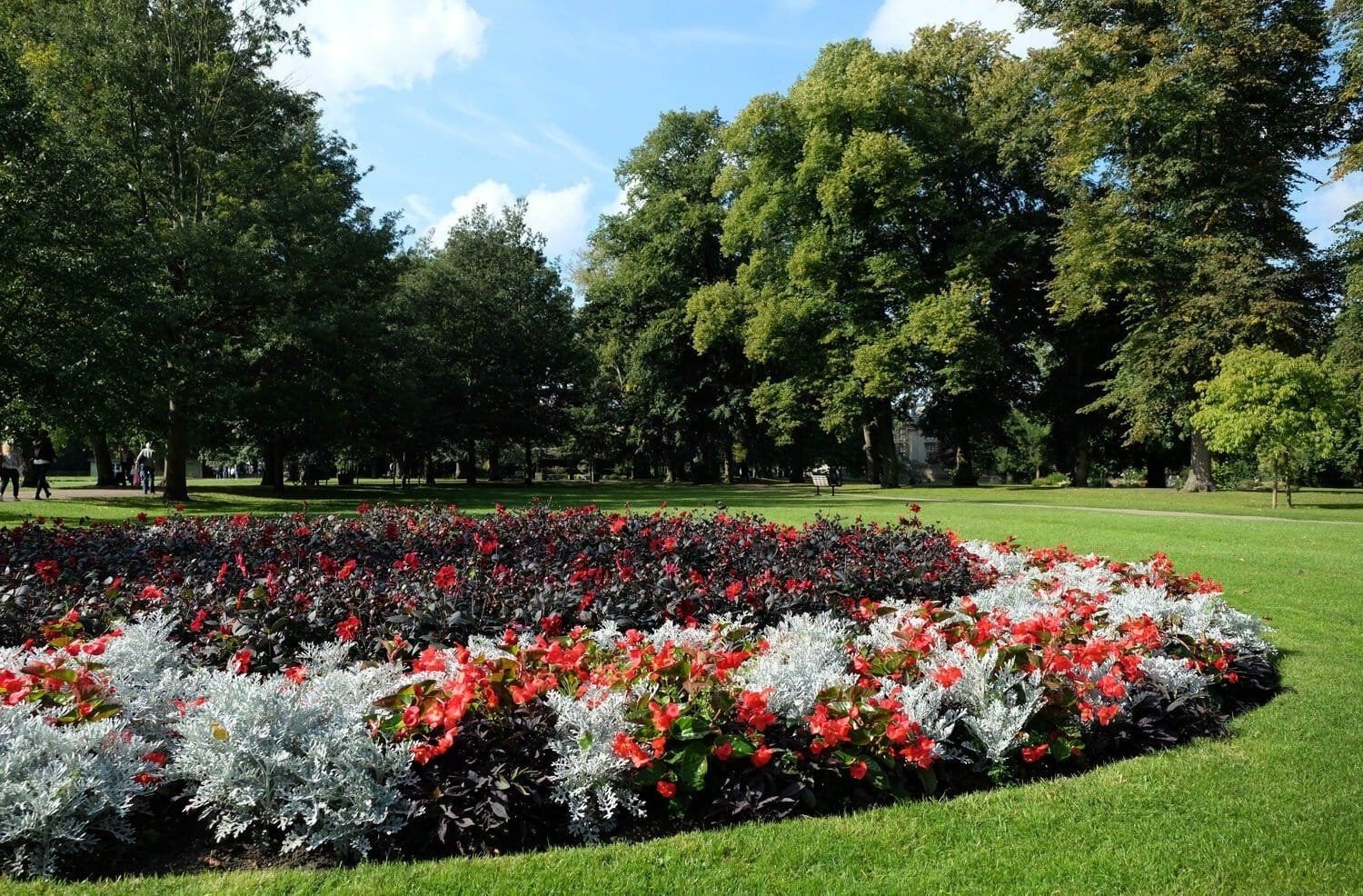 Summer in Cambridge. Christ's Piece. Parks and Green spaces in Cambridge