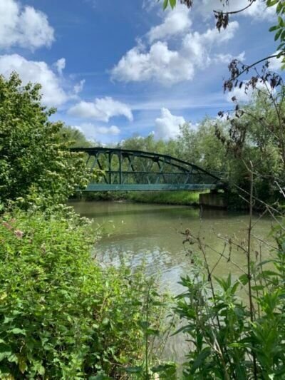 Spring Walks in Cambridge