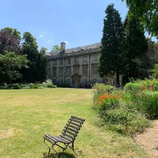 A garden chair in the Fellows’ Garden at Christ’s College, Cambridge, surrounded by summer greenery.