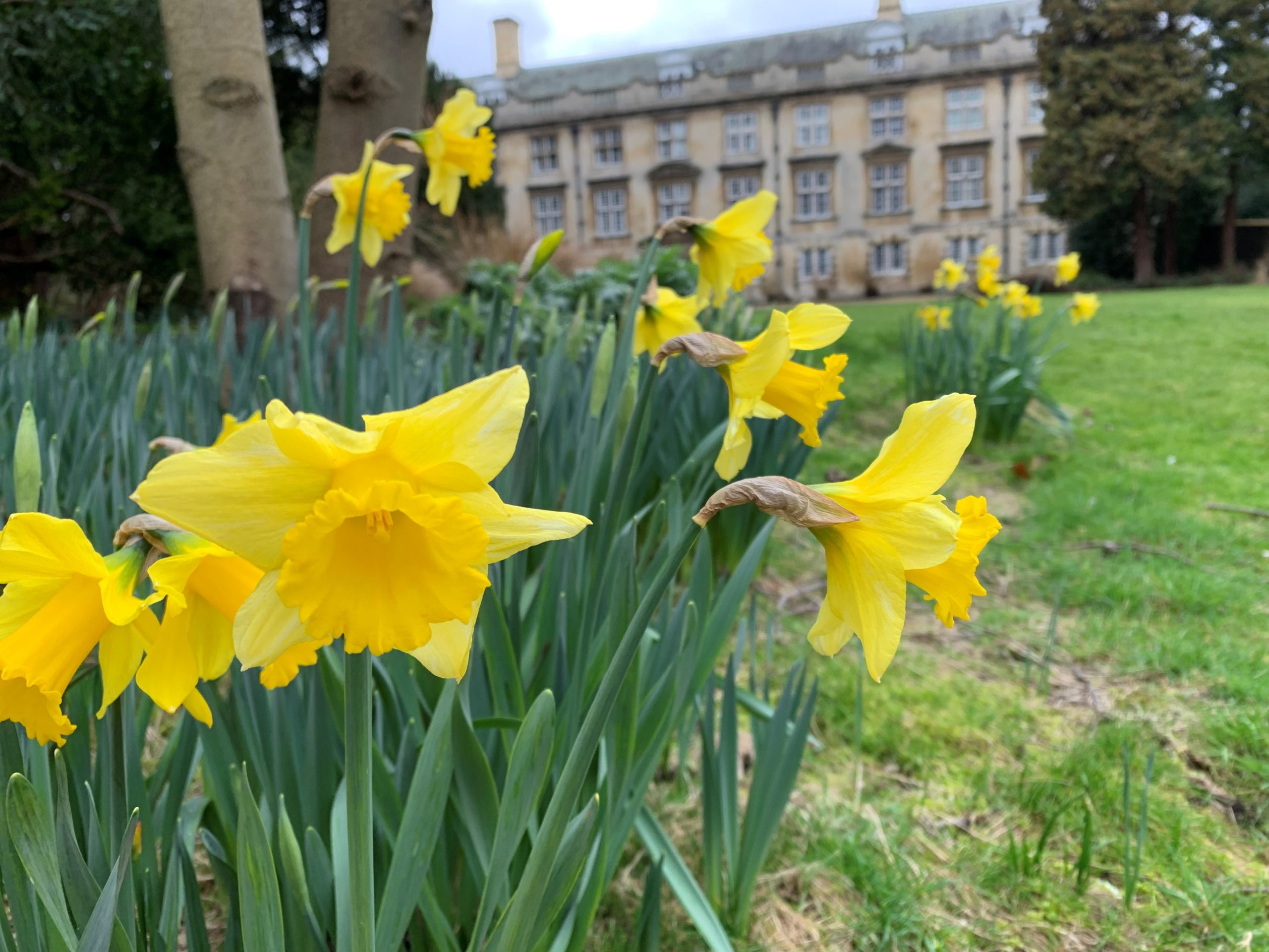 Read more about the article 10 glorious things to do this Easter in Cambridge