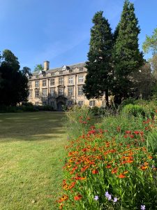 Fellow's Garden - Picture with pretty orange flowers.