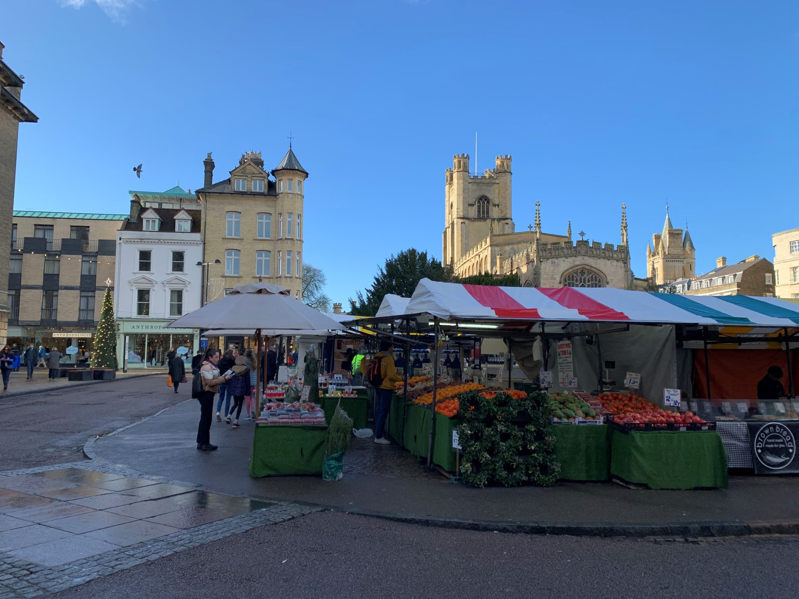 Read more about the article Discover Cambridge Market