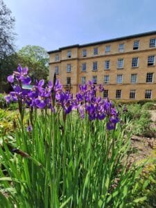 What’s on in Cambridge this June 2026 3 Second Court, Christ's College, Cambridge on a Spring Day with a beautiful purple iris in bloom.