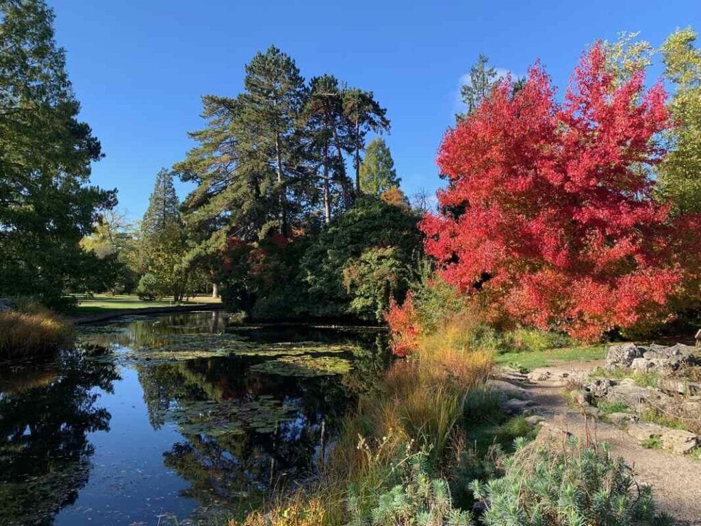 Cambridge University Botanic Garden