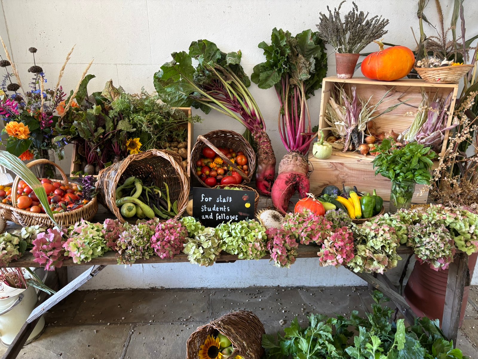 What’s On in Cambridge This October