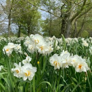 What’s on in Cambridge this March 3 What’s on in Cambridge this March