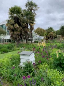A Beehive The Cambridge University Botanic Garden. Beuatiful Gardens in Cambridge