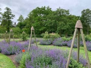 What's on in Cambridge this August 1 Cambridge University Botanic Garden flowerbeds in the summer.