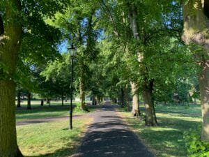 Christ's Piece Cambridge. A view along a path surrounded by lush, green trees.