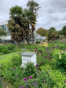Planning a Citybreak in Cambridge 2 Cambridge University Botanical Garden