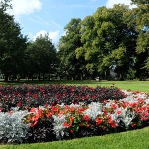 7 relaxing parks and green spaces in Cambridge 