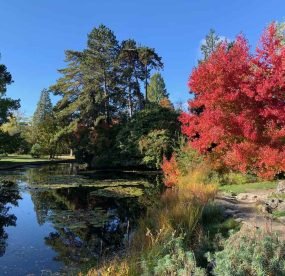 Cambridge University Botanic Garden
