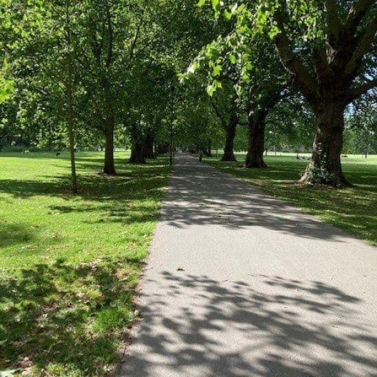 Jesus Green in Summer