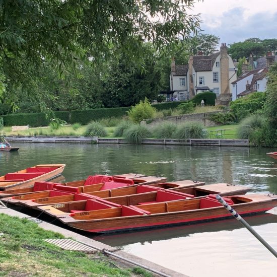 Punts next to the River Cam in Cambridge