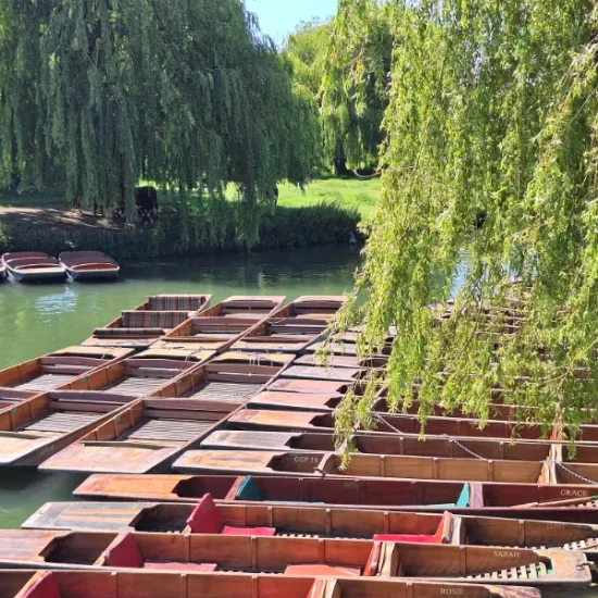 Punts along the River Cam