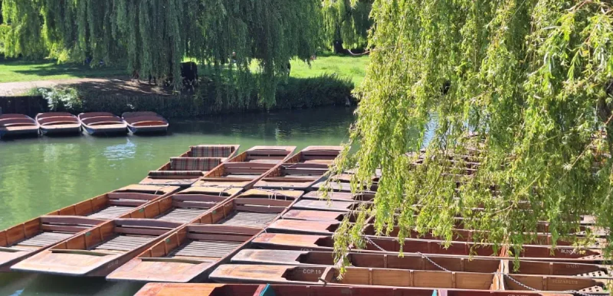 Punts on the River Camb Cambridge Punts along the River Cam