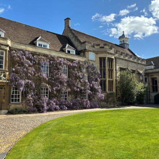 Blooming wisteria cascading over the historic stone walls of Christ’s College, Cambridge, adding vibrant purple hues to First Court.