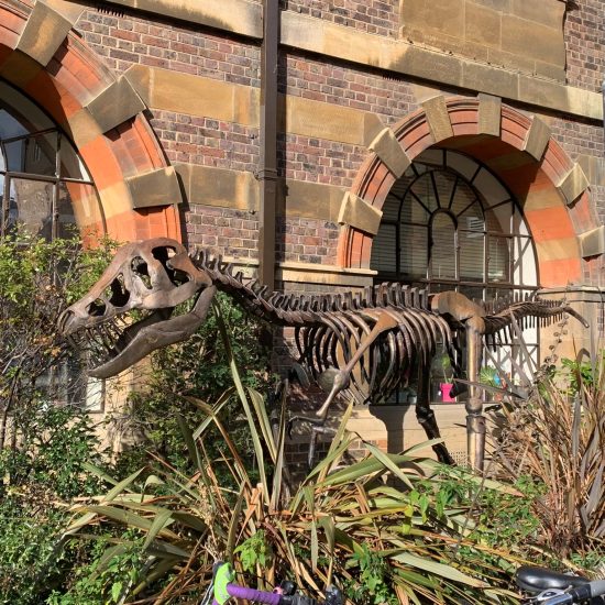 University of Cambridge Zoology Museum