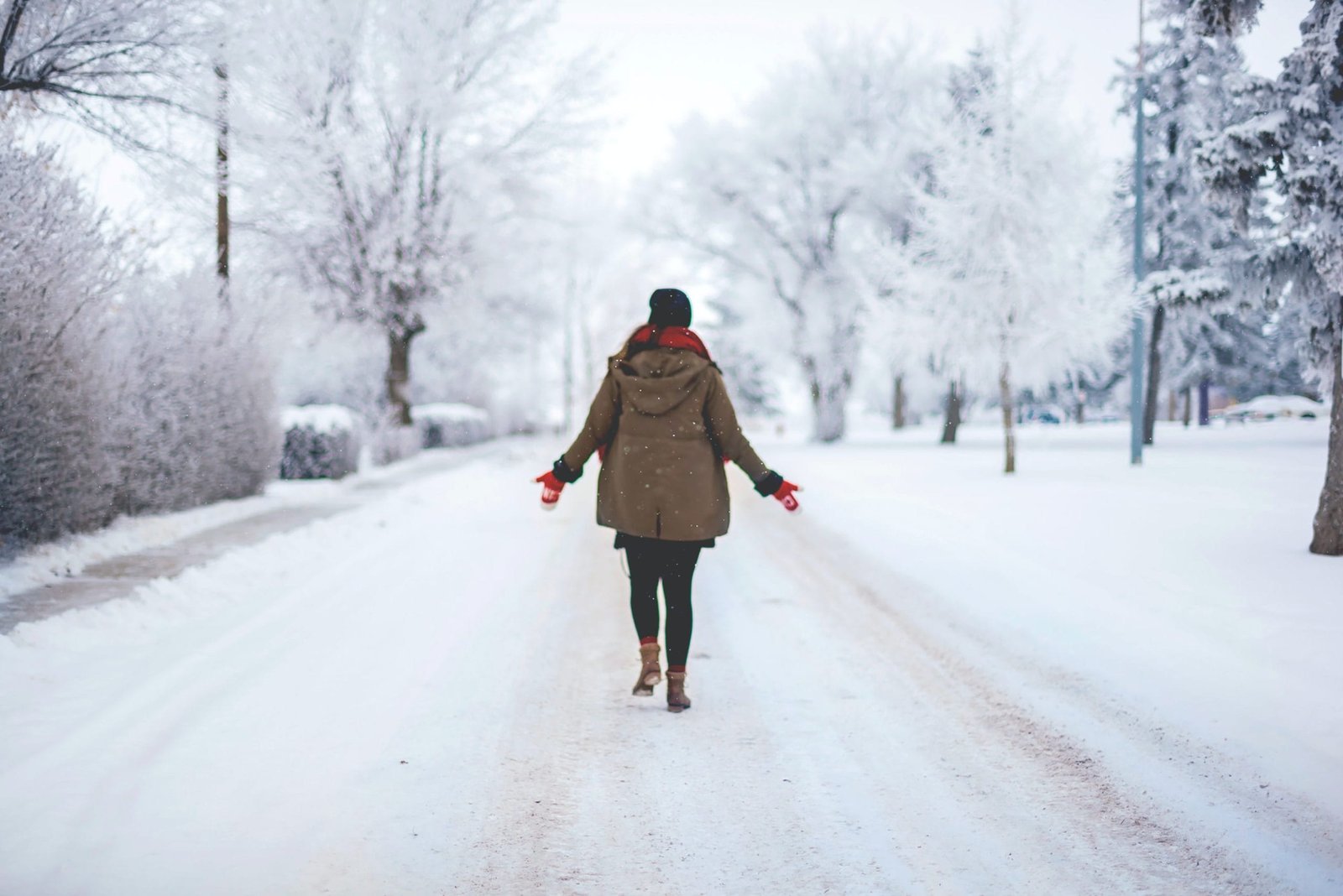 Winter walks in Cambridge
