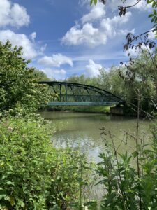 What’s on in Cambridge this June 2 Spring Walks in Cambridge