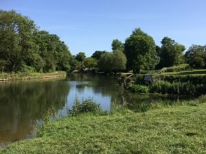 6 Beautiful Spring Walks in Cambridge 3 Spring walks in Cambridge - Ditton Meadows
