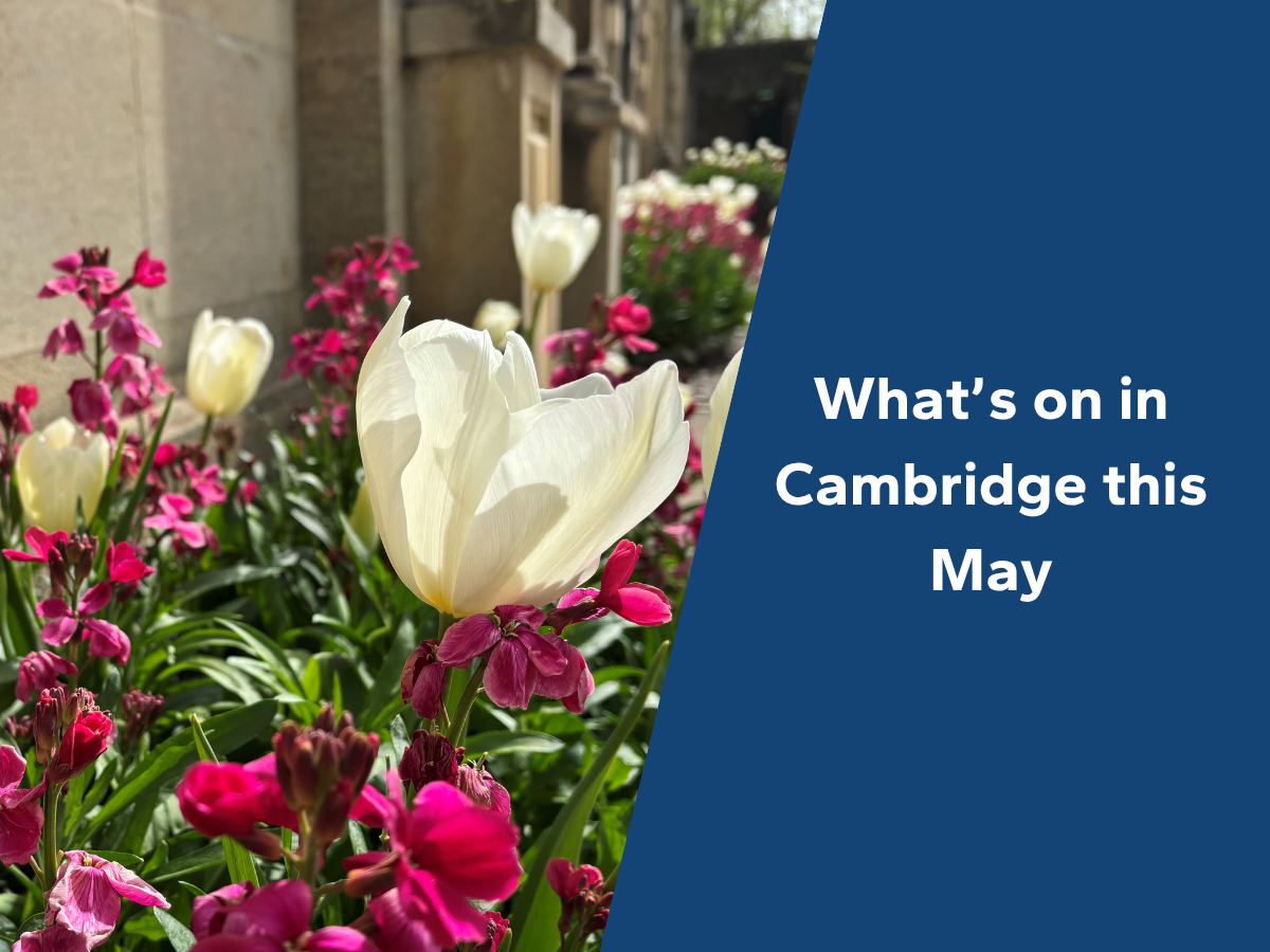 Things to do in Cambridge this May 1 Things to do in Cambridge this May